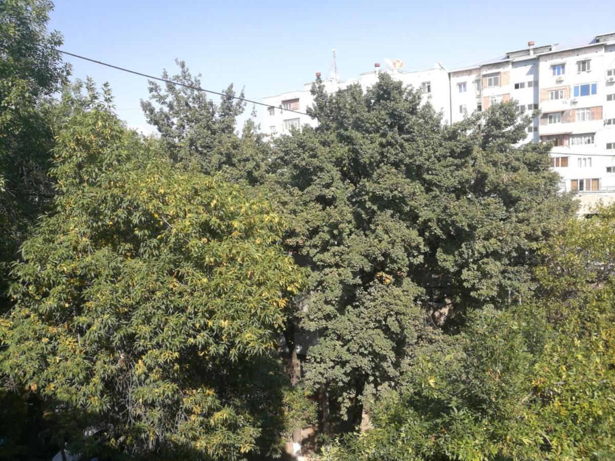 Apartment 2 Bed Room In The Center Апартамент 3-Х Комнатная В Центре Taškent Exteriér fotografie